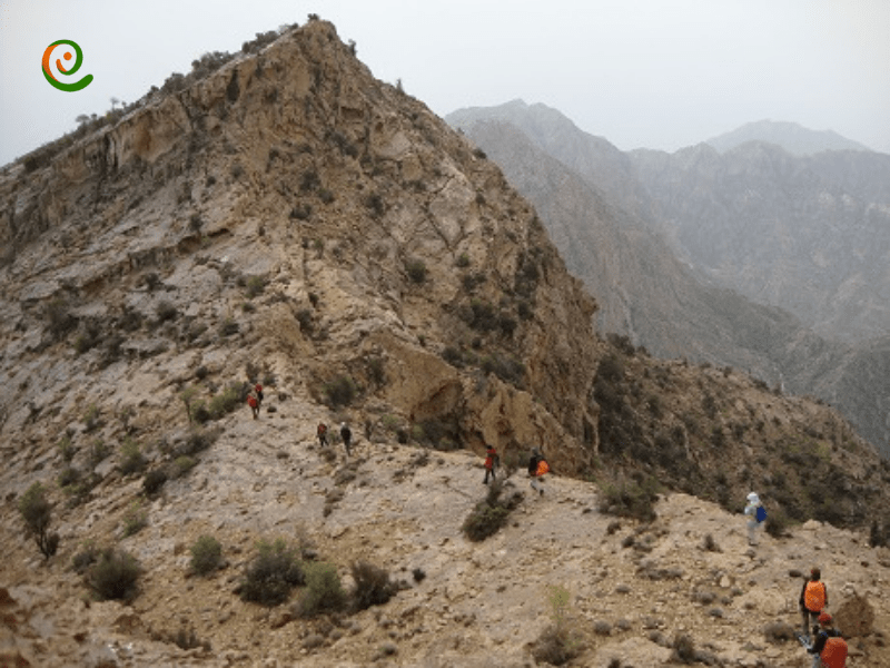 قله پازنان قله قرار گرفته در لیست پروژه سیمرغ استان بوشهر میباشد که درباره آن می توانید در دکوول بخوانید.